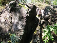 rco Cosentini-20110417 050